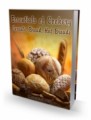 Essentials Of Cookery Plr Ebook