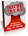 Niche Nuke Personal Use Ebook 