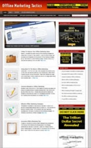 Offline Marketing Niche Blog Personal Use Template