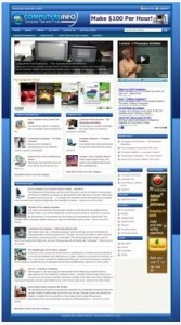 Computer Info Blog Theme Plr Template