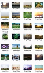Farming Stock Images Resale Rights Graphic