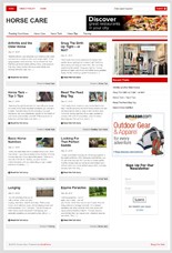 Horse Care Blog PLR Template