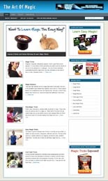 Magic Niche Blog Personal Use Template With Video