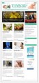 Thyroid Niche Blog PLR Template 