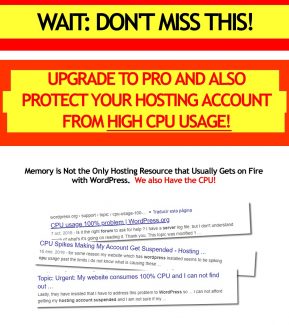 Wp On Fire Pro Personal Use Software