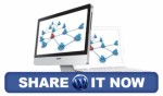 Wp Share It Now Personal Use Script 