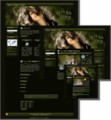 Wild Dance - WP Theme Mrr Template