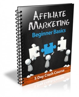 Affiliate Marketing Beginner Basics PLR Autoresponder Messages