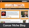 Cancer Niche Blog Personal Use Template 