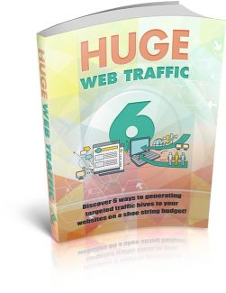 Huge Web Traffic PLR Ebook