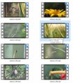 Nature Stock Videos Two - V2 MRR Video