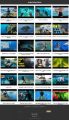 Scuba Diving Instant Mobile Video Site MRR Software