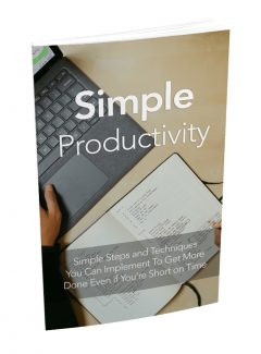 Simple Productivity 2 MRR Ebook With Audio