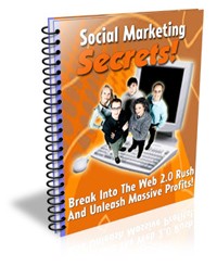 Social Networking PLR Ebook