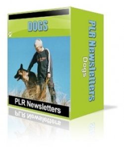 Dogs Niche Newsletters Personal Use Article