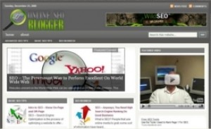 Hot Seo Niche Blog Plr Script