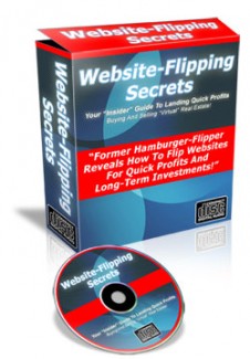 Website Flipping Secrets Mrr Audio