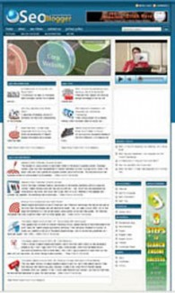 Seo Niche Site PLR Template