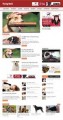 Dog Niche Niche Blog Personal Use Template 
