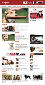 Dog Niche Niche Blog Personal Use Template