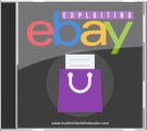 Exploiting Ebay MRR Audio