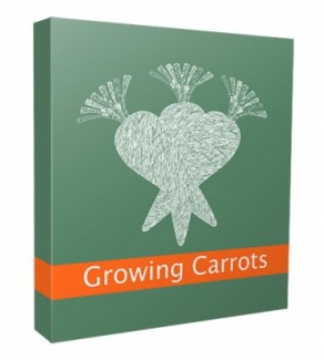 New Growing Carrots Niche Website V3 Personal Use Template