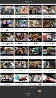Pet Spiders Instant Mobile Video Site MRR Software