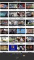 Racing Pigeons Instant Mobile Video Site MRR Software