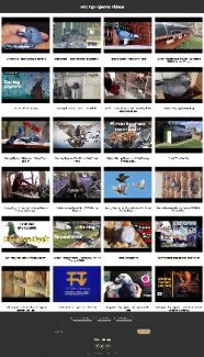 Racing Pigeons Instant Mobile Video Site MRR Software