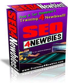 SEO 4 Newbies Mrr Video