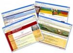 Website Templates Pack Personal Use Template
