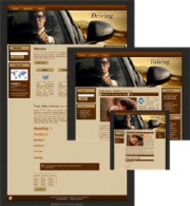 Travel 1 – WP Theme Mrr Template
