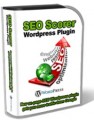 Seo Scorer Wp Plugin Developer License Script 