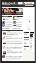 Debt Niche Blog PLR Template