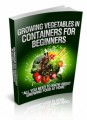 Growing Vegetables In Containers For Beginners Resale ...