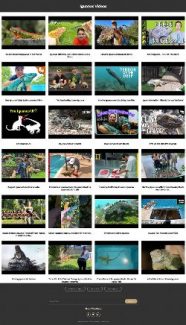 Iguanas Instant Mobile Video Site MRR Software