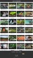 Organic Gardening Instant Mobile Video Site MRR Software