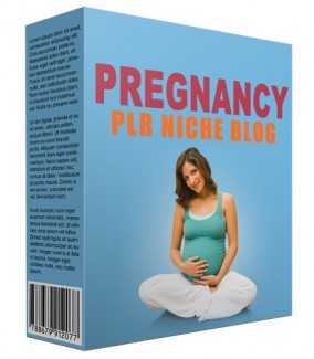 Pregnancy Plr Niche Blog V2 PLR Template