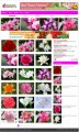 Wallpaper Wordpress Theme 3 Personal Use Template 