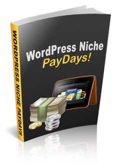 WordPress Niche Paydays Personal Use Video