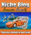Niche Blog MRR Ebook