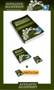 Affiliate Marketing Minisite Template Plr Ebook