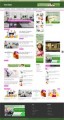House Cleaner Blog Personal Use Template