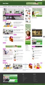 House Cleaner Blog Personal Use Template