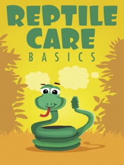 Reptile Care Basics MRR Ebook