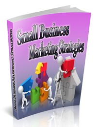 Small Business Marketing Stategies PLR Ebook