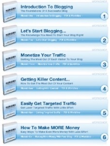 Blogging For Profits Mrr Ebook With Video