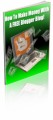 How To Make Money With A Free Blogger Blog PLR Ebook