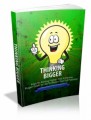Thinking Bigger Mrr Ebook