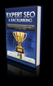 Expert SEO And Backlinking Mrr Ebook